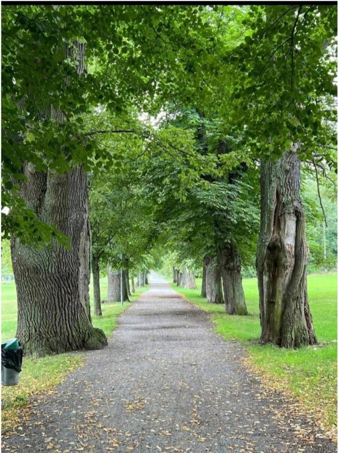 Close To The Metro And The Beach!!! With A View Of The Scandinavian Forest Stockholm Exterior photo